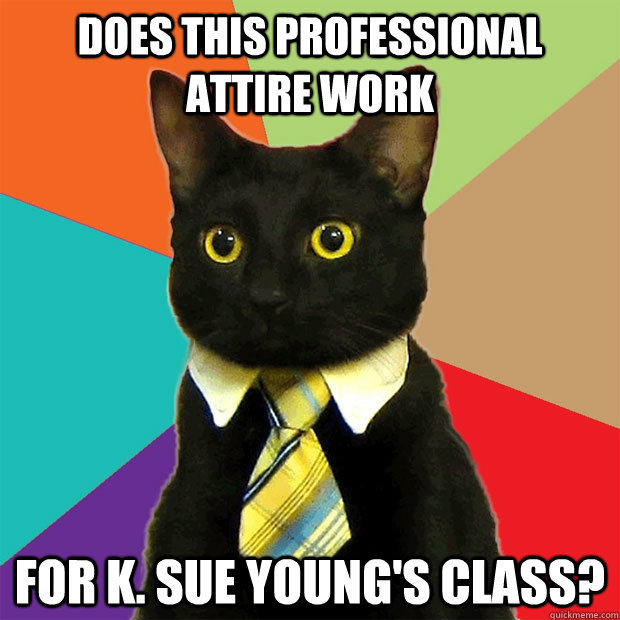 Does this professional attire work For K. Sue Young's Class?   Business Cat
