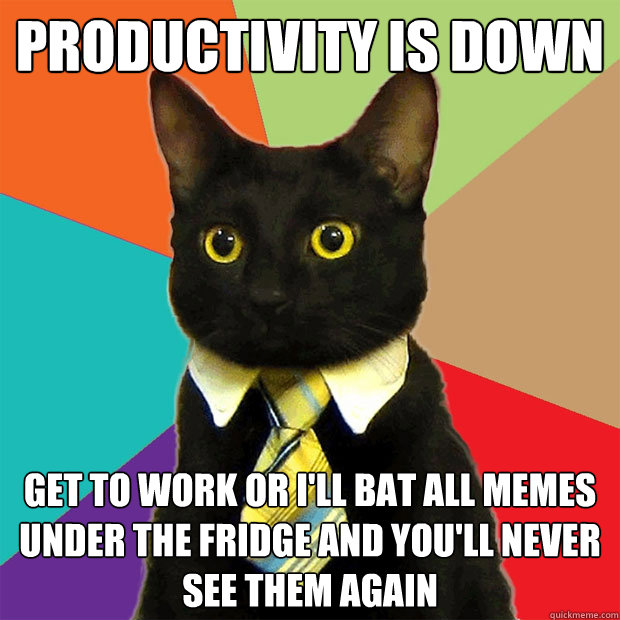 productivity is down get to work or i'll bat all memes under the fridge and you'll never see them again - productivity is down get to work or i'll bat all memes under the fridge and you'll never see them again  Business Cat