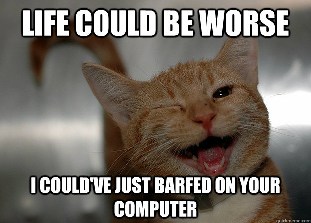 life could be worse i could've just barfed on your computer - life could be worse i could've just barfed on your computer  Cheer up Cat