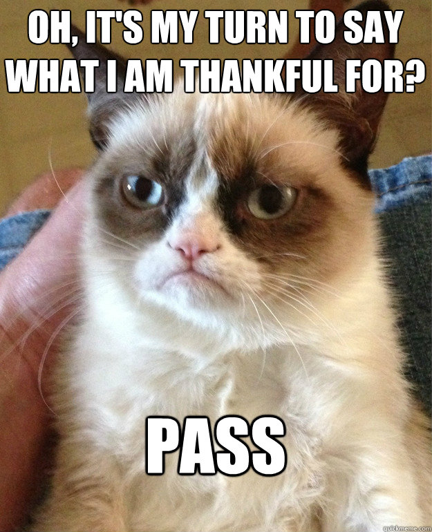 oh, it's my turn to say
what i am thankful for? Pass  Grumpy Cat