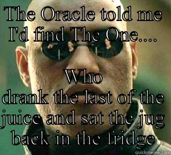 THE ORACLE TOLD ME I'D FIND THE ONE.... WHO DRANK THE LAST OF THE JUICE AND SAT THE JUG BACK IN THE FRIDGE Matrix Morpheus