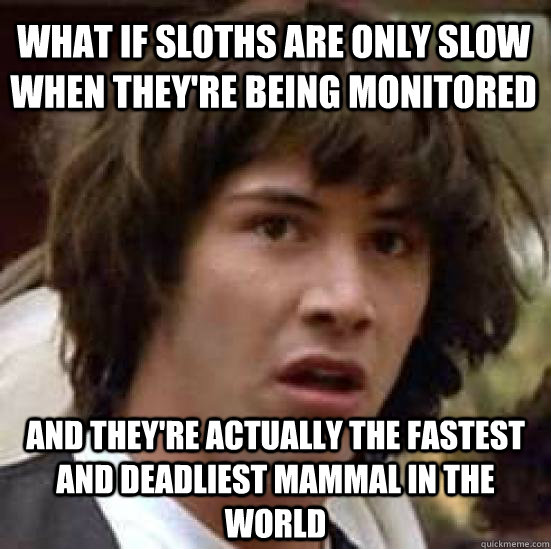 What if sloths are only slow when they're being monitored and they're actually the fastest and deadliest mammal in the world - What if sloths are only slow when they're being monitored and they're actually the fastest and deadliest mammal in the world  conspiracy keanu