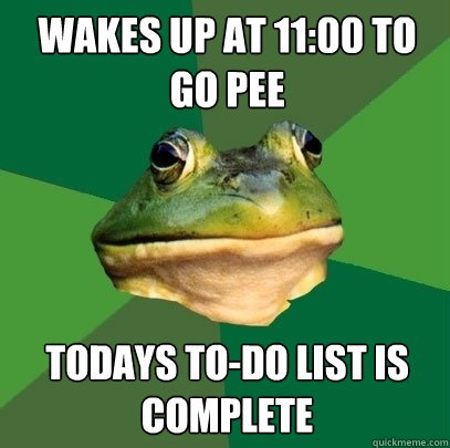 Wakes up at 11:00 to go pee Todays to-do list is complete  Foul Bachelor Frog