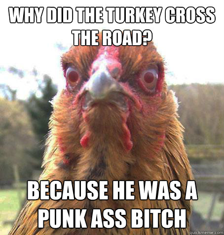 Why did the turkey cross the road? Because he was a punk ass bitch  RageChicken