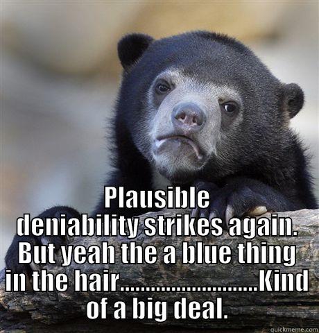  PLAUSIBLE DENIABILITY STRIKES AGAIN. BUT YEAH THE A BLUE THING IN THE HAIR...........................KIND OF A BIG DEAL. Confession Bear