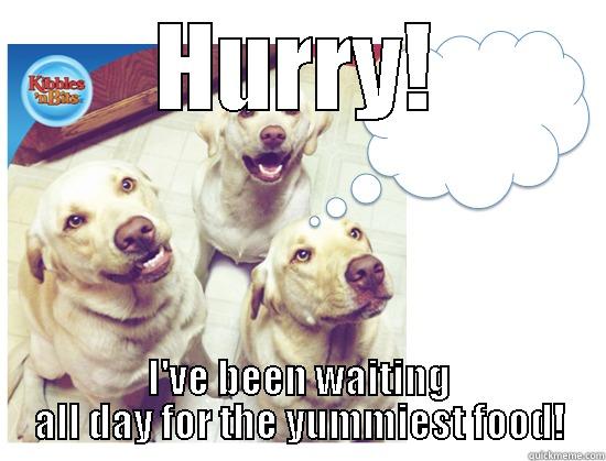 HURRY! I'VE BEEN WAITING ALL DAY FOR THE YUMMIEST FOOD! Misc