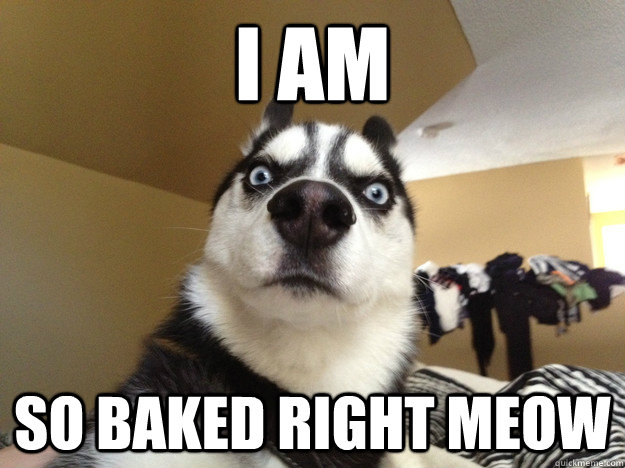 I am So baked right meow  