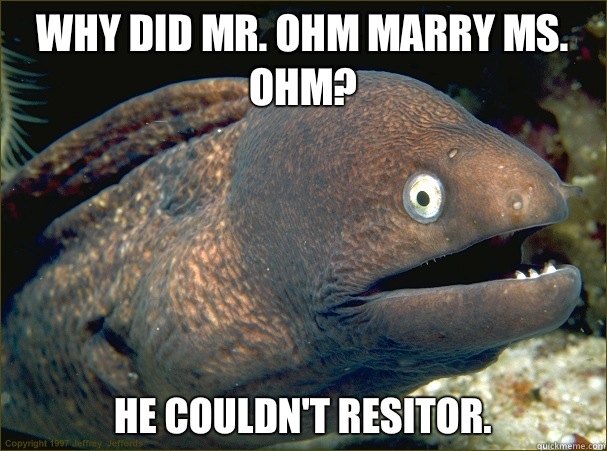 Why did Mr. Ohm marry Ms. Ohm? He couldn't resitor.  Bad Joke Eel