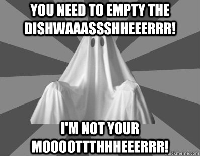 You need to empty the dishwaaassshheeerrr! I'm not your moooottthhheeerrr!  