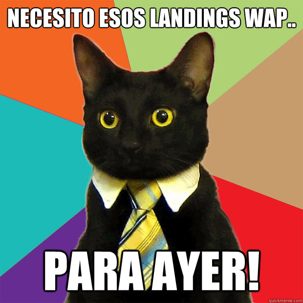 NECESITO ESOS LANDINGS WAP.. PARA AYER!  Business Cat