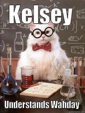 KELSEY UNDERSTANDS WAHDAY Chemistry Cat