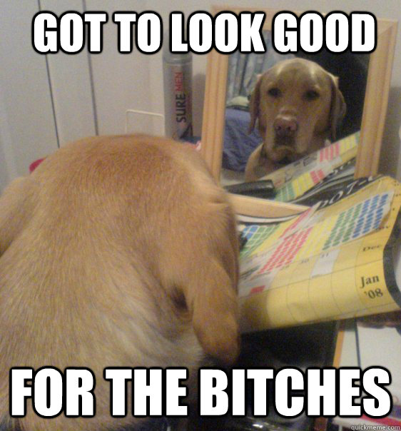 Got to look good For the bitches    