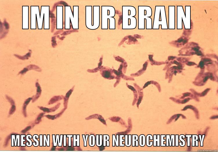 IM IN UR BRAIN MESSIN WITH YOUR NEUROCHEMISTRY Misc