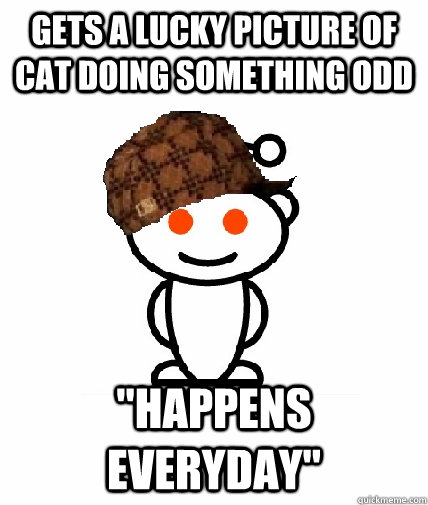 Gets a lucky picture of cat doing something odd 