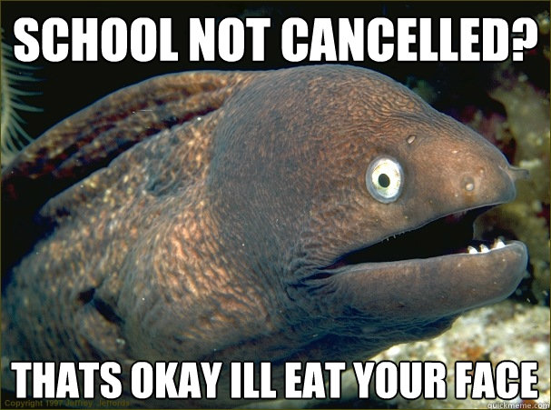 School Not Cancelled? Thats okay Ill eat your face  Bad Joke Eel
