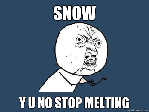 SNOW y u no stop melting  Y U No