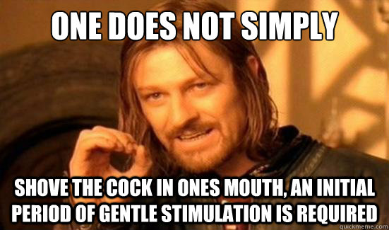 One Does Not Simply shove the cock in ones mouth, an initial period of gentle stimulation is required  Boromir