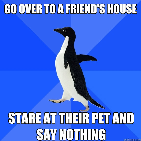 Go over to a friend's house Stare at their pet and say nothing  Socially Awkward Penguin