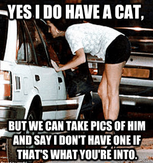 Yes I do have a cat, But we can take pics of him and say I don't have one if that's what you're into.  Karma Whore