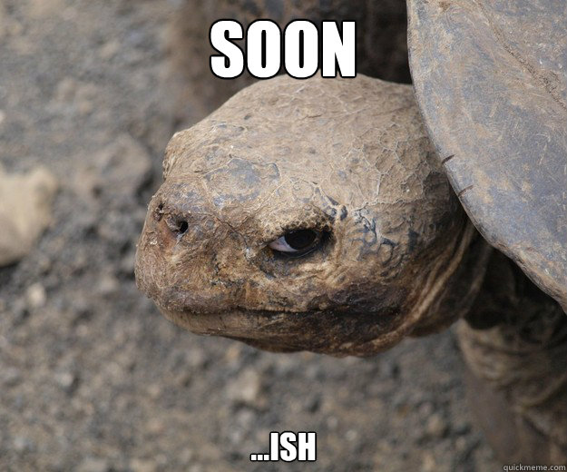 Soon ...ish - Soon ...ish  Insanity Tortoise