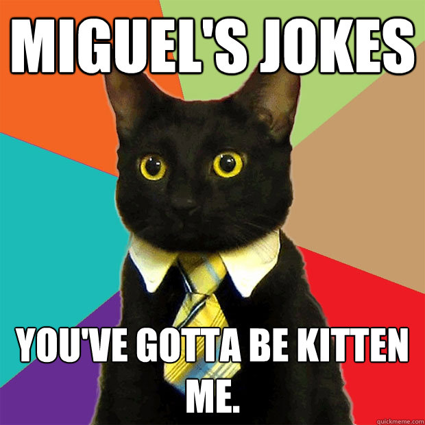 Miguel's Jokes you've gotta be kitten me.  Business Cat