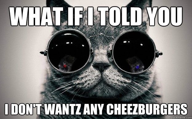 What if i told you I don't wantz any cheezburgers  Cat morpheus plus paws