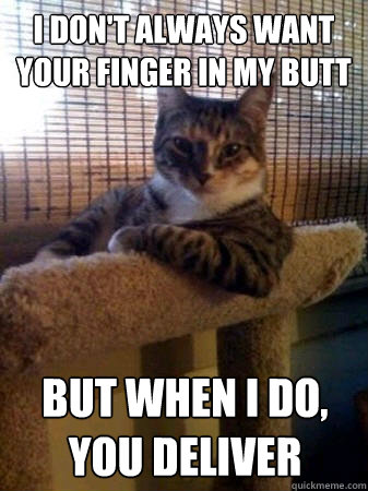 I don't always want your finger in my butt but when I do, you deliver  The Most Interesting Cat in the World