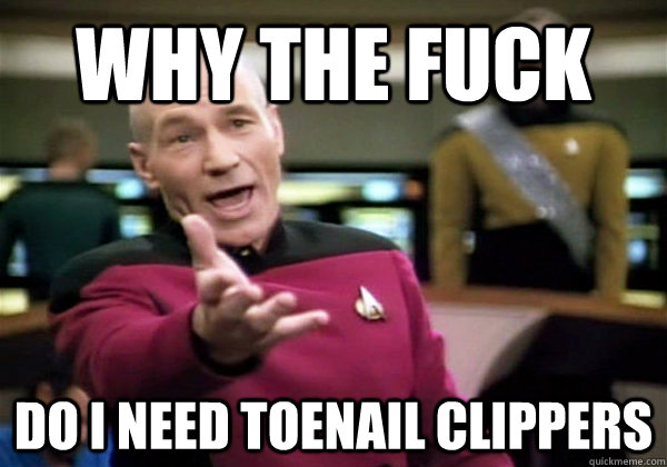 Why the fuck Do I need toenail clippers  Why The Fuck Picard