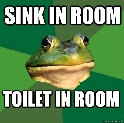 Sink in room Toilet in room  Foul Bachelor Frog