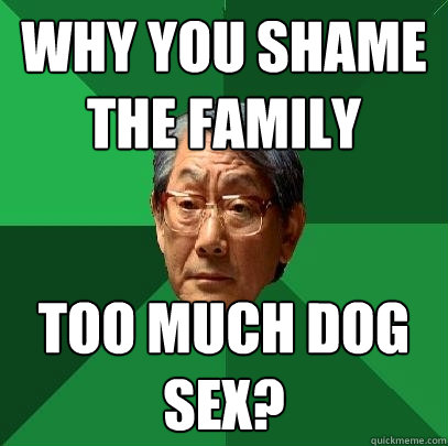 Why you shame the family Too much dog sex?  High Expectations Asian Father