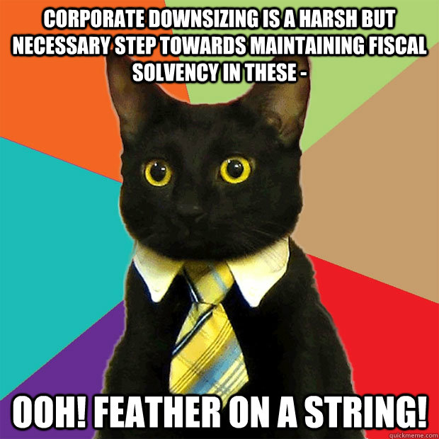 Corporate downsizing is a harsh but necessary step towards maintaining fiscal solvency in these - OOH! Feather on a string!  Business Cat