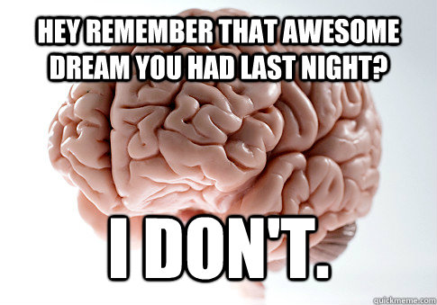 HEY REMEMBER THAT AWESOME DREAM YOU HAD LAST NIGHT? I don't.  Scumbag Brain