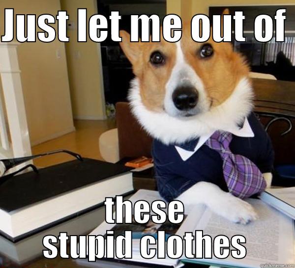 JUST LET ME OUT OF  THESE STUPID CLOTHES Lawyer Dog