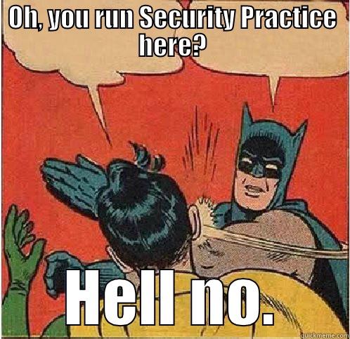 OH, YOU RUN SECURITY PRACTICE HERE? HELL NO. Batman Slapping Robin