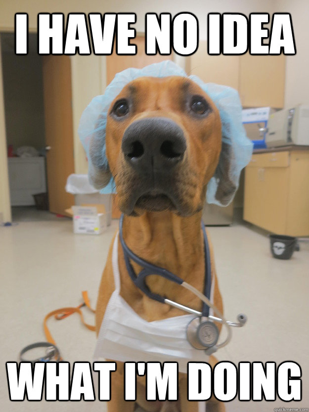 Timmy Turner Meme pre-veterinary-medicine-nebraska-pre-vet