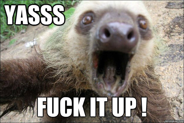 YASSS FUCK IT UP !
 - YASSS FUCK IT UP !
  YASS