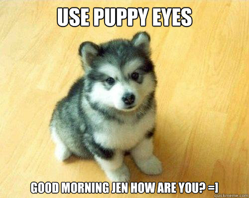 Use puppy eyes good morning jen how are you? =]  Baby Courage Wolf