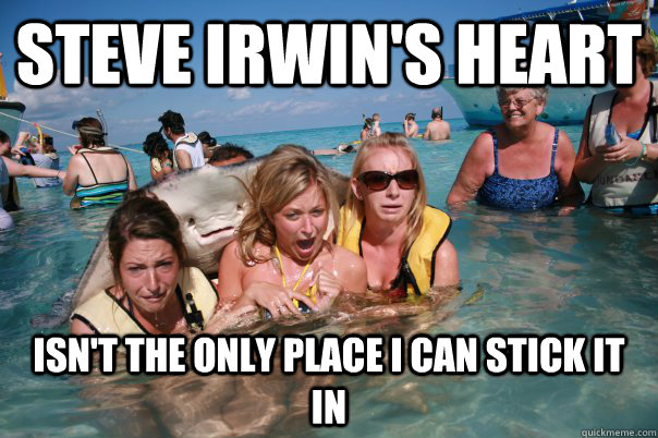 Steve irwin's heart isn't the only place i can stick it in  Pervert Stingray