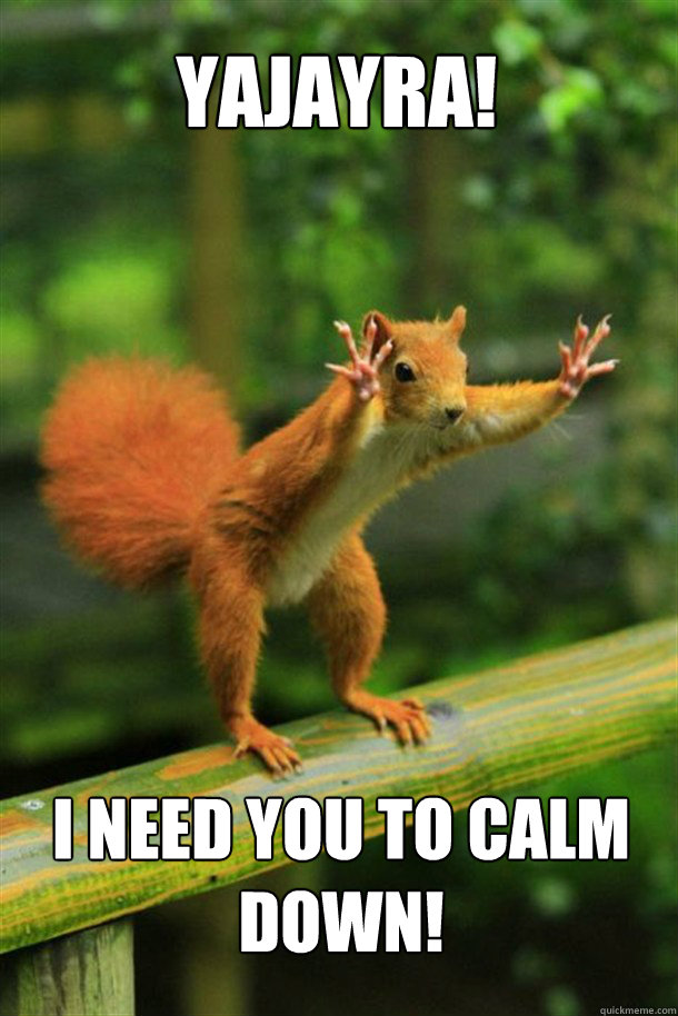 yajayra! i need you to calm down! - yajayra! i need you to calm down!  Squirrel