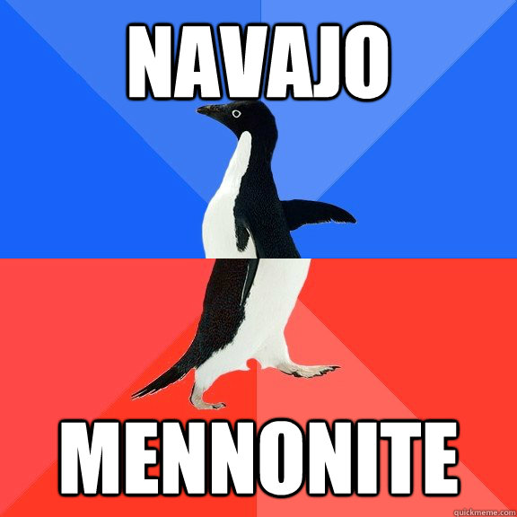 Navajo Mennonite  Socially Awkward Awesome Penguin