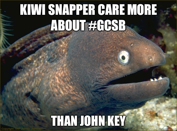 Kiwi Snapper care more about #GCSB than John Key - Kiwi Snapper care more about #GCSB than John Key  Bad Joke Eel