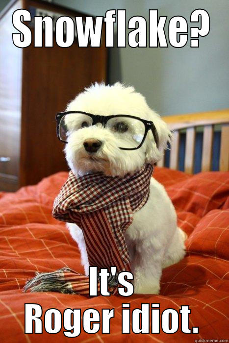 SNOWFLAKE? IT'S ROGER IDIOT. Hipster Dog