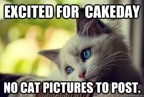 EXcited for  cakeday no cat pictures to post. - EXcited for  cakeday no cat pictures to post.  First World Problems Cat