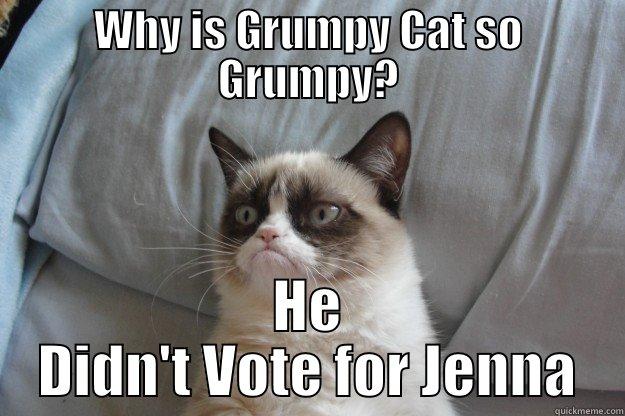 WHY IS GRUMPY CAT SO GRUMPY? HE DIDN'T VOTE FOR JENNA Grumpy Cat