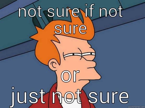 NOT SURE IF NOT SURE OR JUST NOT SURE Futurama Fry
