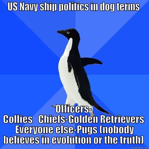 US NAVY SHIP POLITICS IN DOG TERMS OFFICERS- COLLIES   CHIEFS-GOLDEN RETRIEVERS  EVERYONE ELSE-PUGS (NOBODY BELIEVES IN EVOLUTION OR THE TRUTH) Socially Awkward Penguin