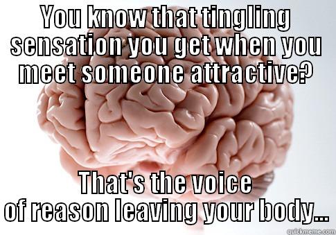 YOU KNOW THAT TINGLING SENSATION YOU GET WHEN YOU MEET SOMEONE ATTRACTIVE? THAT'S THE VOICE OF REASON LEAVING YOUR BODY... Scumbag Brain