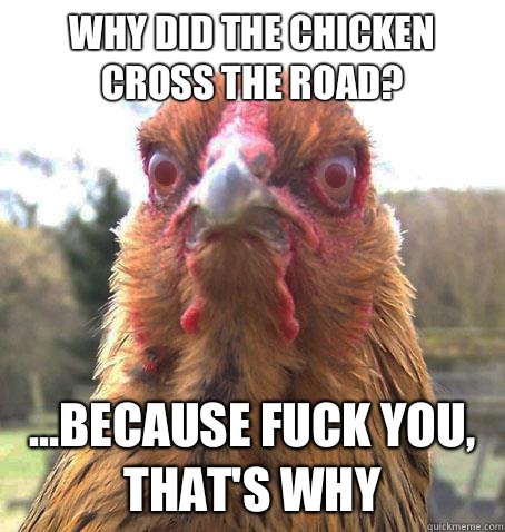 Why did the chicken cross the road? ...because fuck you, that's why  RageChicken