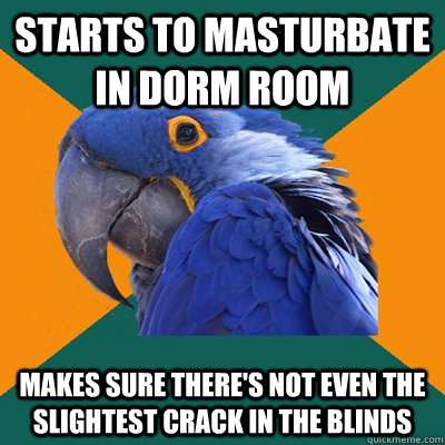 starts to masturbate in dorm room makes sure there's not even the slightest crack in the blinds  Paranoid Parrot