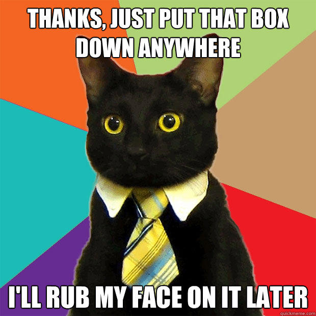 Thanks, just put that box down anywhere I'll rub my face on it later  Business Cat